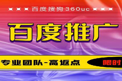 某行业领军企业的SEM广告投放策略